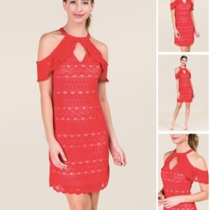 Francesca's Red Lace Dress